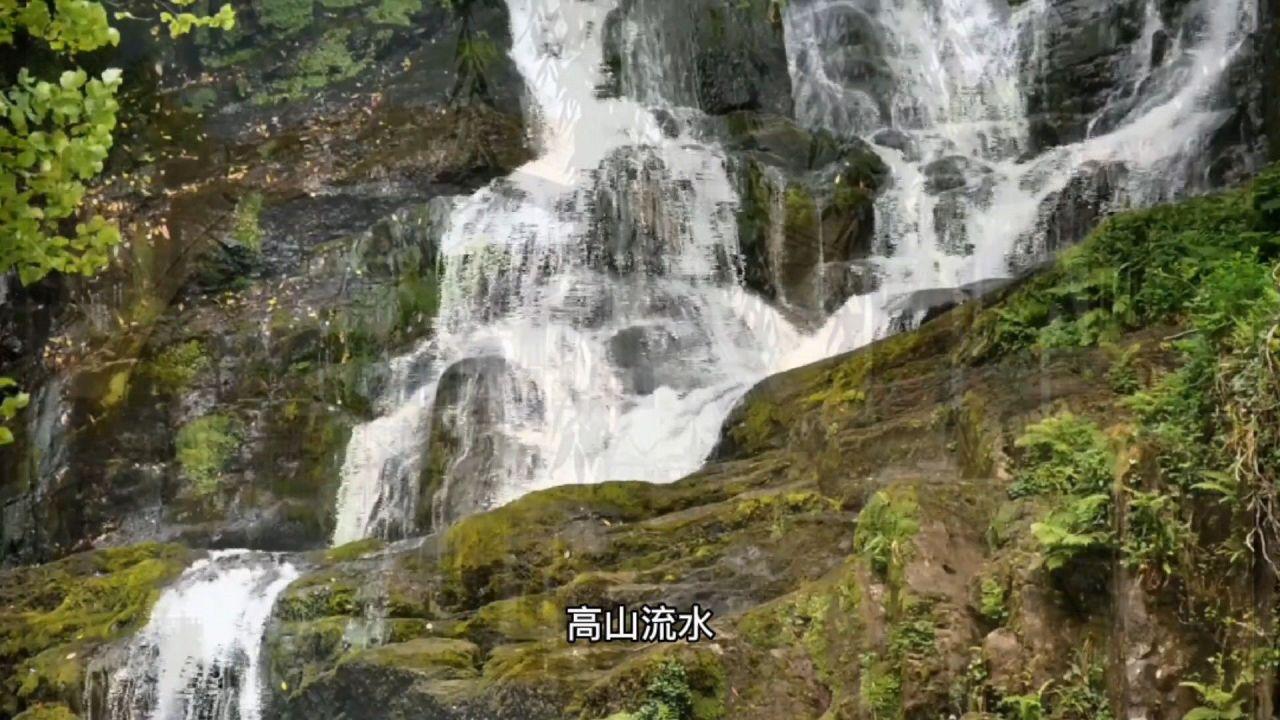 从公司离职，在职期间公司一直没给上公积金，能否要求补偿